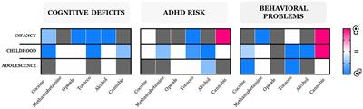 Gender Differences in the Outcome of Offspring Prenatally Exposed to Drugs of Abuse